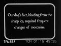 Alaskan Adventures 1926