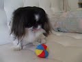 DSCF0196