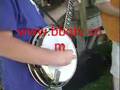 Dillard Bluegrass 1