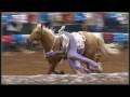 Rodeo Houston 2006 TETWP