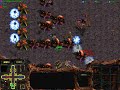 Starcraft: Sunken D 4 Way Starcraft: Sunken D 4 Way