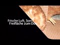 Eier Oberschneiding Georg Stangl Legehennenhaltung