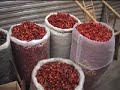 Travel China-Chengdu Herbal Market ???????????