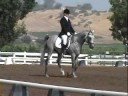 Johanna and Elrond Training Level Test 2 Greenville 08