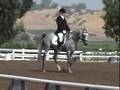 videos de Johanna and Elrond Training Level Test 2 Greenville 08