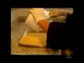 Cozinhando com Ricardo - Bolo de Cenoura