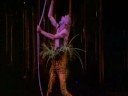 Anton and Olga in Varekai - lovers Anton and Olga in Varekai - lovers