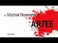 #2 ARTEE Michał Brzeziński www.artee.wici.info