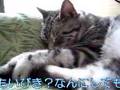 寝言？いびき？