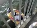 Dangerous Dinghy