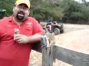 Squirrel gets Drunk with Joe