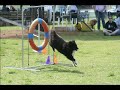 2007 Snellville Days + 2007 Pawfest