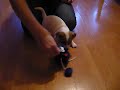 Kaira.MOV