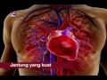 JANTUNG KITA 2