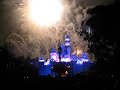 Disneyland2008 115.avi
