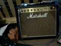 Marshall jcm 800 4010 Happy Song BTerry Guitar strat 7