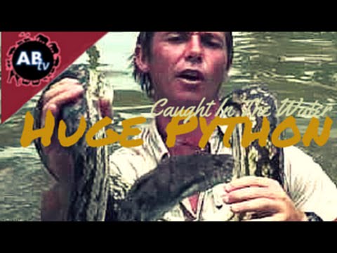 YouTube reptile video