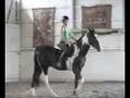 Day IX Under Saddle