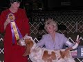 Emma was little 1st born basset hound in her litter Emma was little 1st born basset hound in her litter