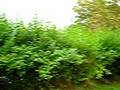 House for sale Burgundy Property