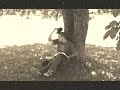 The Apple Tree