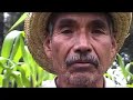 Gnu'u nuni 2/ Las palabras del maíz 2/ The words of corn 2