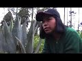 Gnu'u nuni 2/ Las palabras del maíz 2/ The words of corn 2