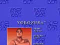 wwf rage in the cage sega cd 2