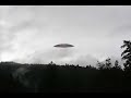 UFO behind tree UFO behind tree