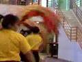 Gund Kwok Dragon Dance