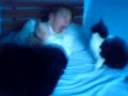 Psyco cat.3gp
