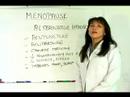 Physicians-Help-All-