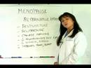 Physicians Help: All About Menopause : Alternative Therapies and Menopause Alternative Therapies