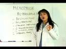 Physicians-Help-All-