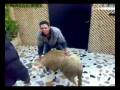 7awli.wmv