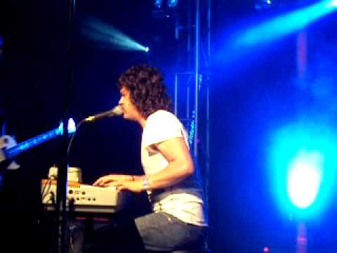 Video de Elefantes de Bengala