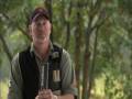 Benelli Simply Perfect