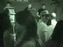 electronic live set @ rising south with ableton, roland, novation, akai, evolution, mc-909, spd-s, groovebox, sampler, remote sl, mackie, korg kaos pad, evolution, visual, etc..