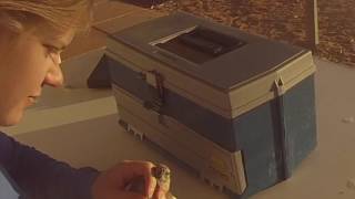 good morning Charles Darwin Reserve