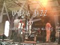 dwayne dopsie & the zydeco hellraisers interpretano......hey joe!!!