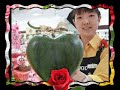User Thumb 1