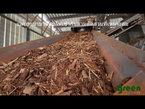 การผลิต wood pellet โรงงาน กรีนเทอมินัล