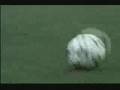 Adidas-Football-Ad-C