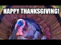 Happy Thanksgiving 2013! free greeting card Happy Thanksgiving 2013! free greeting card