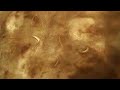 Brain-tanning #28