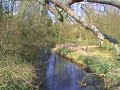 Video Postcard. LITTLE PONTON. - pc07.
