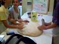 videos de Knead Rhythm