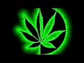 Ska-P Legalización Cannabis + Letra
