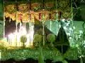 reina de las madres ala virgen de la esperanza reina de las madres ala virgen de la esperanza