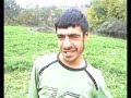 Maydonoz Bi?imi ve Koyun �oban?